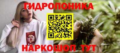 скорость mdpv Новодвинск