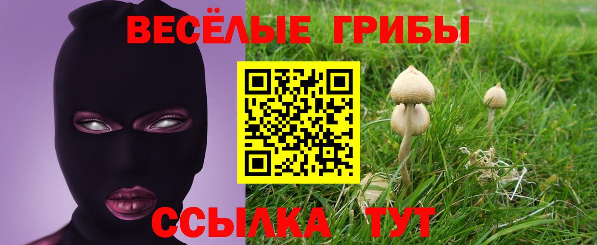 Псилоцибиновые грибы мухоморы Сертолово