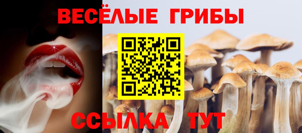 Сертолово  Псилоцибиновые грибы Magic Shrooms  Псилоцибиновые грибы мухоморы  Вход с VPN 